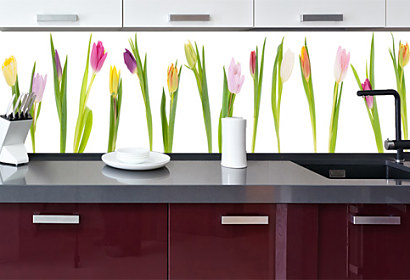 Fototapeta zástena - Farebné tulipány 28024