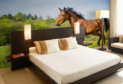 Fototapeta Brown Horse 24739