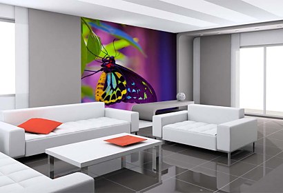 Fototapeta Farebný motýľ 24731