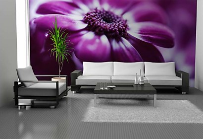 Fototapeta FLoral Violet 24077