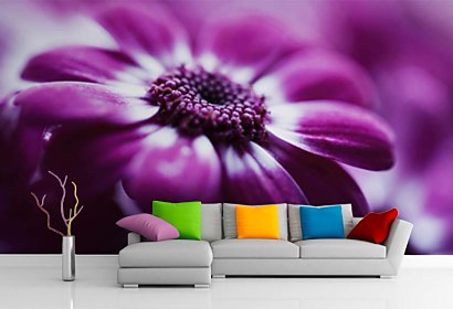 Fototapeta FLoral Violet 24077