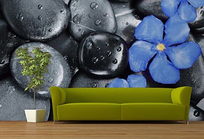 Fototapeta Flower Oleander and black pebbles 24837