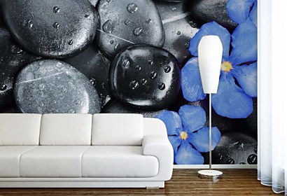 Fototapeta Flower Oleander and black pebbles 24837