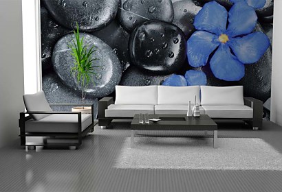 Fototapeta Flower Oleander and black pebbles 24837