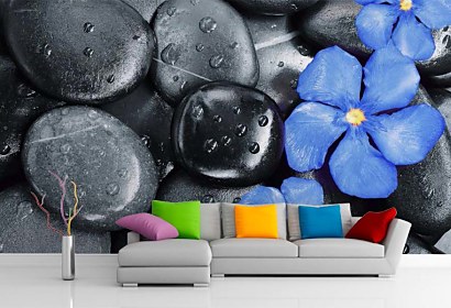 Fototapeta Flower Oleander and black pebbles 24837