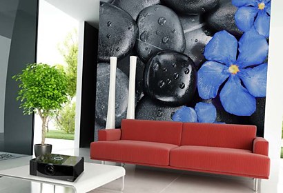 Fototapeta Flower Oleander and black pebbles 24837