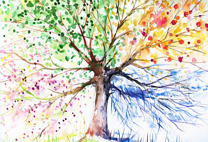 Fototapeta Four seasons tree 1264