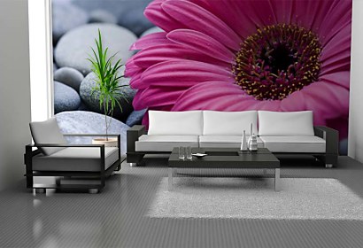 Fototapeta Gerbera a kamene 24098