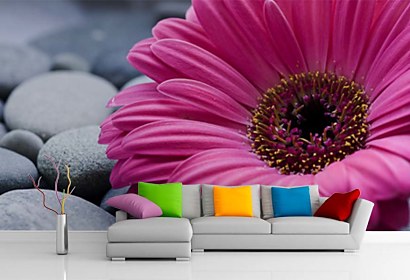 Fototapeta Gerbera a kamene 24098