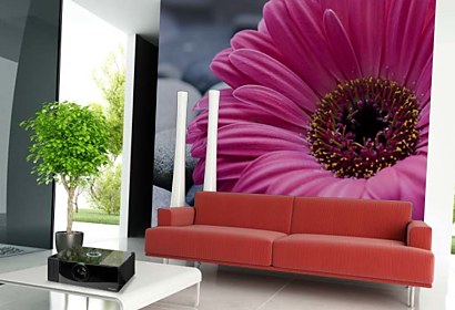 Fototapeta Gerbera a kamene 24098