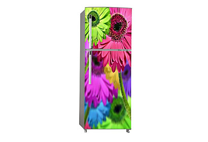 Fototapeta Farebné Gerbery 6759