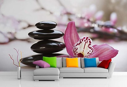 Fototapeta Lily and Therapy Stones 24217