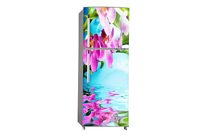 Fototapeta Orchidea nad vodou 6749
