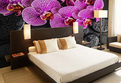 Fototapeta Orchidea a čierne kamene 24775