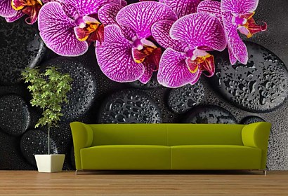 Fototapeta Orchidea a čierne kamene 24775