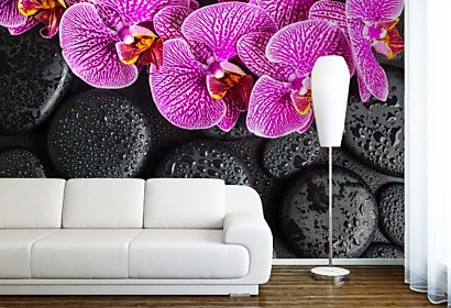 Fototapeta Orchidea a čierne kamene 24775