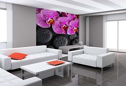 Fototapeta Orchidea a čierne kamene 24775