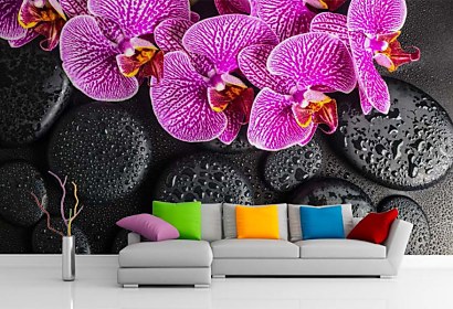 Fototapeta Orchidea a čierne kamene 24775