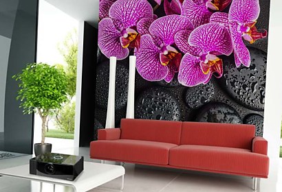 Fototapeta Orchidea a čierne kamene 24775