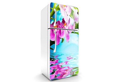 Fototapeta Orchidea nad vodou 6749