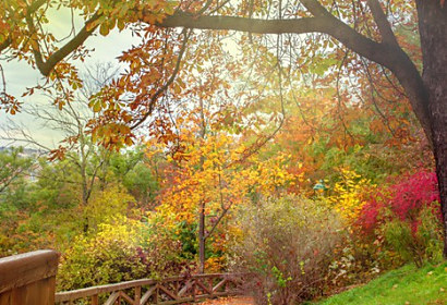 Fototapeta Park v Prahe na jeseň 65139487