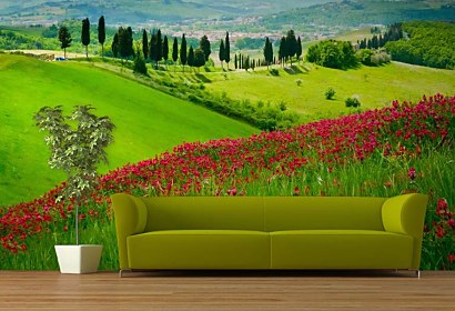 Fototapeta Summer land 24729