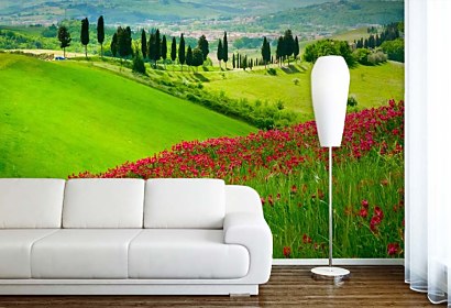 Fototapeta Summer land 24729