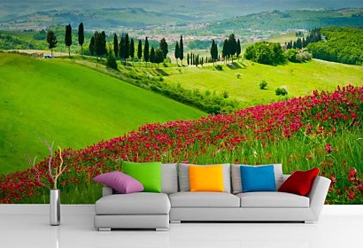 Fototapeta Summer land 24729