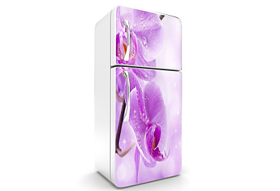 Fototapeta Violet Orchid 6841