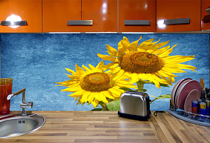 Fototapeta zástena - Sunflower 6937