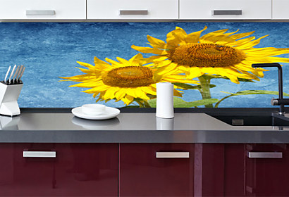 Fototapeta zástena - Sunflower 6937