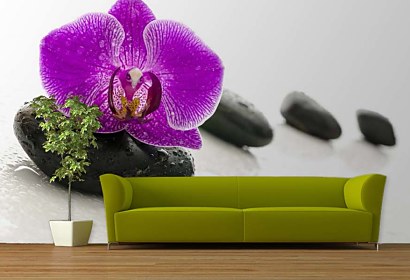 Fototapeta Zen stones and Orchid 24730