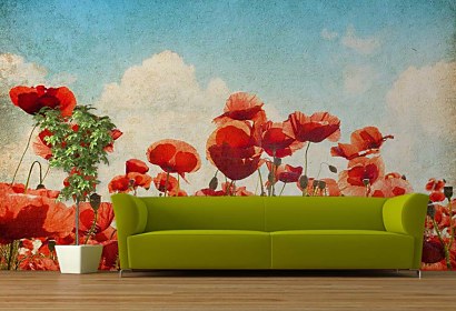 Fototapeta Poppies Flowers 6738
