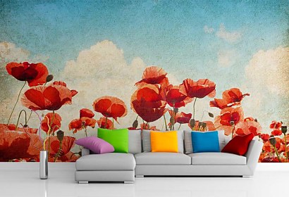 Fototapeta Poppies Flowers 6738