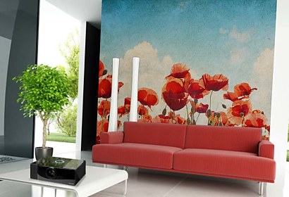 Fototapeta Poppies Flowers 6738