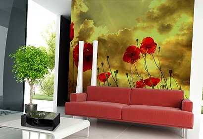 Fototapeta Maky 6200