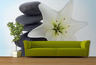 fototapeta na stenu - stones and flower