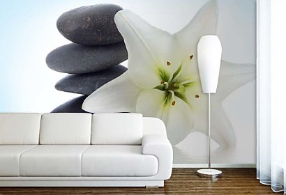 fototapety - stones flower