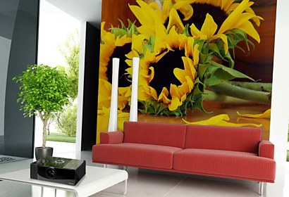 Fototapeta Sunflowers 5421