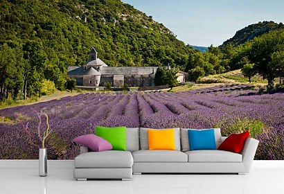 Fototapeta Provence 24028