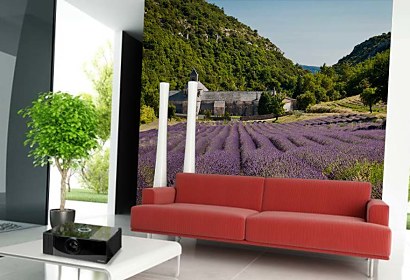 Fototapeta Provence 24028