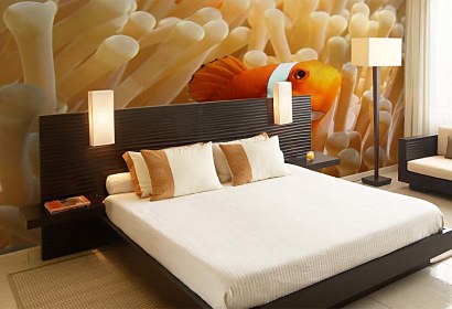Fototapeta Nemo Rybka 4386