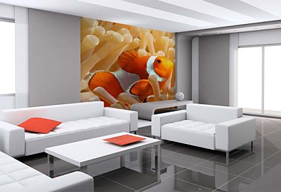 Fototapeta Nemo Rybka 4386