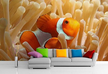 Fototapeta Nemo Rybka 4386