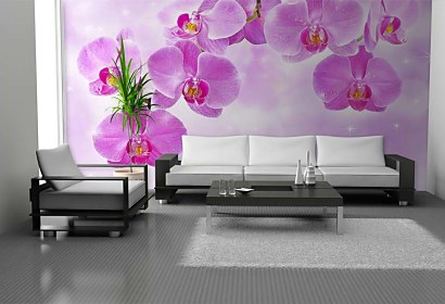 Fototapeta Orchidey 24430