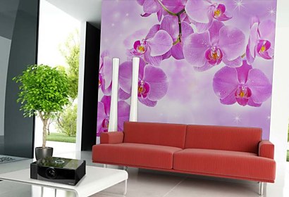 Fototapeta Orchidey 24430