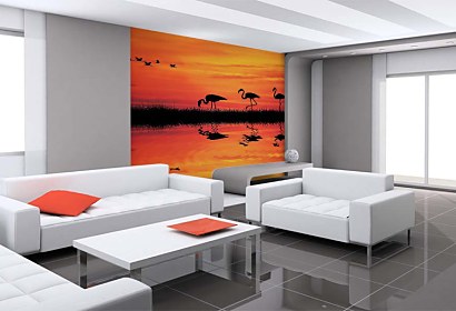 Fototapeta Plameniaky 4088