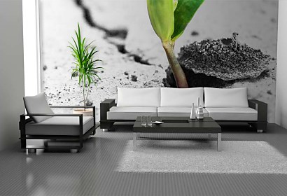 plants wallpapers