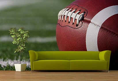 Fototapeta Rugby Ball 4042