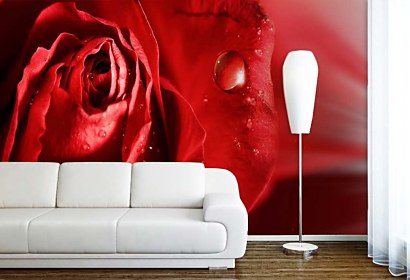 fototapety - romantic rose